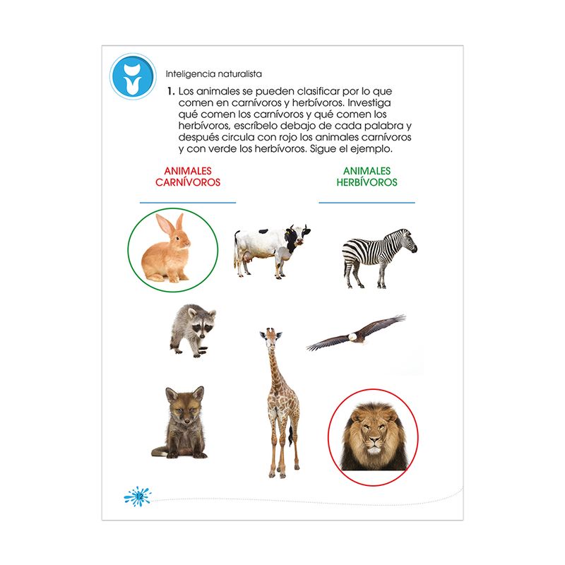 42195 - LIBRO EJERCICIOS SUPER MENTES PRIMARIA 2