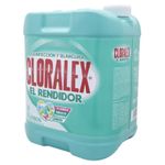 BLANQUEADOR LIQUIDO DESINFECTANTE CLORALEX 10L