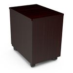 21594 - ARCHIVERO 2 GAVETAS WENGUE