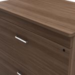 21605 - ARCHIVERO 2 GAVETAS HORIZONTAL