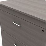 21606 - ARCHIVERO 2 GAVETAS HORIZONTAL