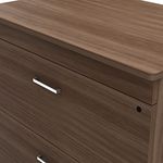 21607 - ARCHIVERO 2 GAVETAS HORIZONTAL