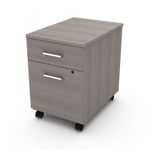 11447 - ARCHIVERO 2 GAVETAS CENIZO