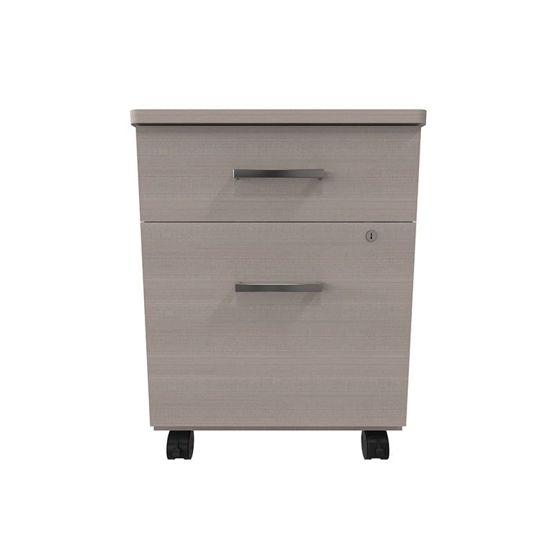 21608 - ARCHIVERO 2 GAVETAS CENIZO