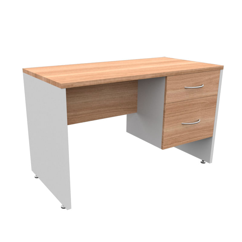 10356 - ESCRITORIO RECTO 1 20MT CON PEDESTAL ROBLE/GRIS