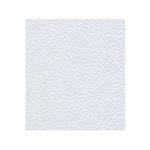 PAPEL CASCARON 1/4 35X56CM