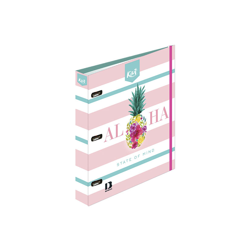 22358 - CARPETA DURABOOK ESQUELA KIUT