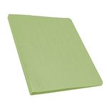 22403 - CARPETA ACCOPRESS OFICIO CON BROCHE VERDE CLARO MEDIA CEJA