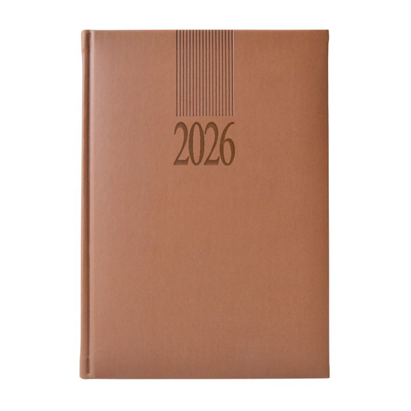 866 - AGENDA DIARIA TUCSON COLORES SURTIDOS