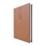 44339 - AGENDA DIARIA TUCSON COLORES SURTIDOS