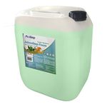 43781 - JABONLIMP FOAM TE VERDE MANDARINA 20 L