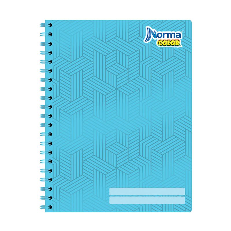 48265 - CUADERNO PROFESIONAL 100H C-5 NORMA COLOR