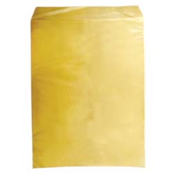 13043 - SOBRE BOLSA ANTE 88K RADIOGRAFIA