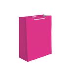 50412 - BOLSA REGALO MEDIANA LISOS NEONES 2