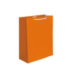 50413 - BOLSA REGALO MEDIANA LISOS NEONES 2