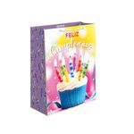 50401 - BOLSA REGALO MEDIANA BRILLANTE CUMPLE