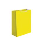 49049 - BOLSA REGALO MEDIANA LISOS NEONES 2