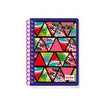 50685 - CUADERNO ESPIRAL FRANCES 100H RAYAS INCOLORS