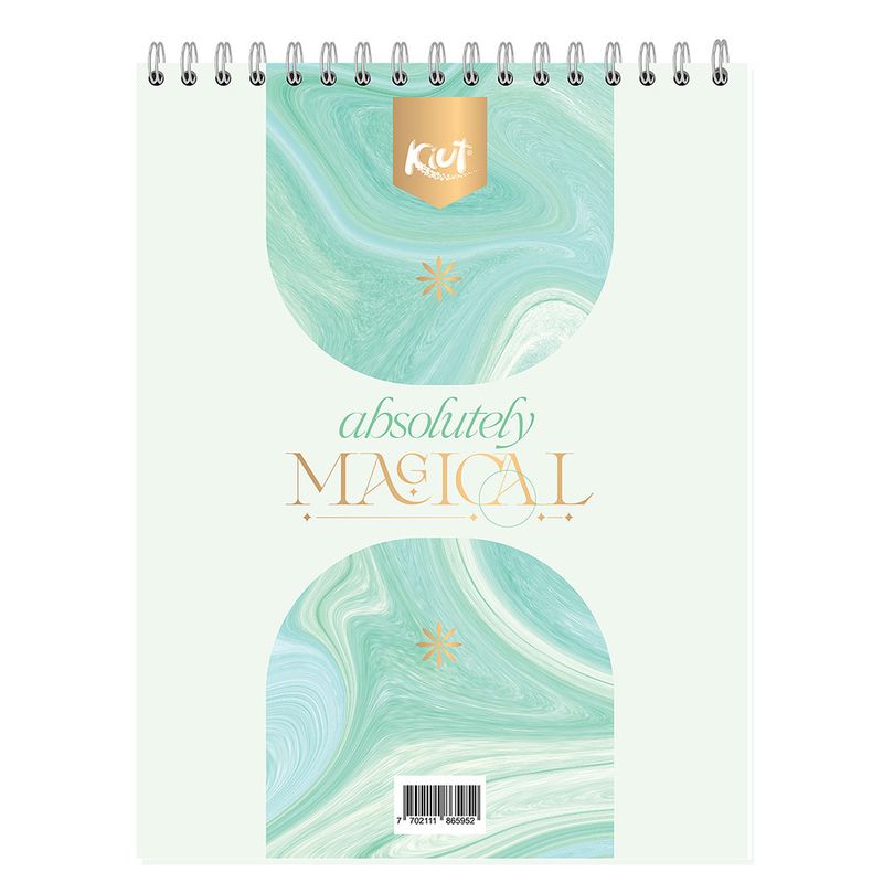 PLANEADOR DIARIO KIUT