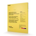 52312 - PAPEL RECUBIERTO ESPECIAL MATE 24LB C/100HJS