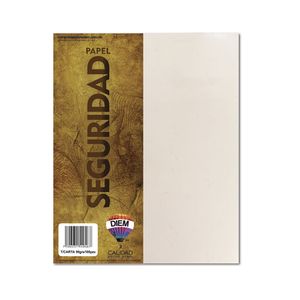 Papel Seguridad Carta Blanco C/100 Pzas Ps11