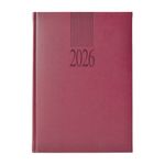 55000 - AGENDA DIARIA TUCSON COLORES SURTIDOS