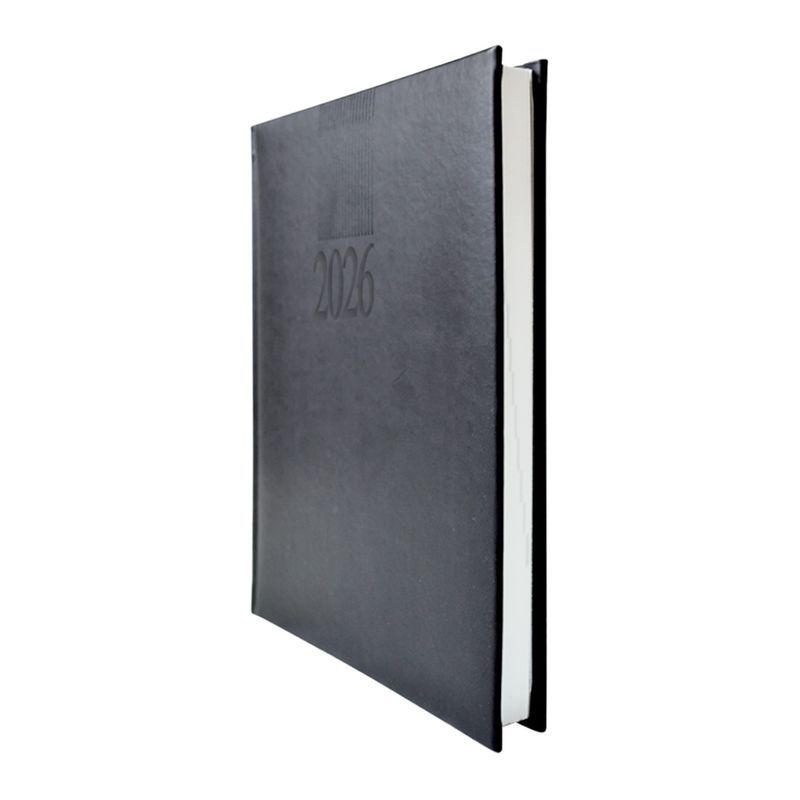 54998 - AGENDA DIARIA TUCSON COLORES SURTIDOS