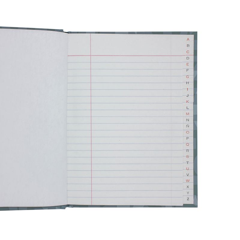 53082 - LIBRO FRANCES 1/4 PD 96HJS RAYAS C/INDICE