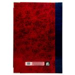 53077 - LIBRO FLORETE DIARIO 192HJS FORMA FRANCESA