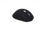 29967 - Mouse Naceb Technology NA-0119N