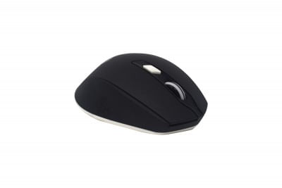 29967 - Mouse Naceb Technology NA-0119N