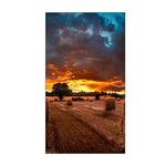 43754 - Monitor Samsung Video Wall VW 46" FHD Resolución 1920x0180 Tizen 4 0