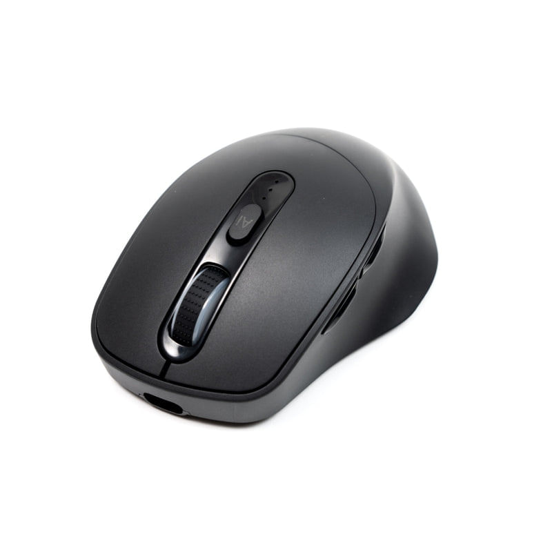 58903 - Mouse PERFECT CHOICE PC-045168