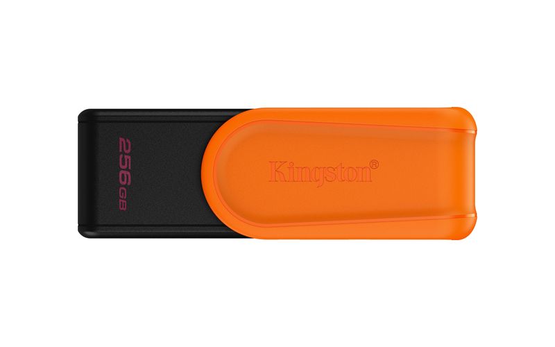 60163 - Memorias USB Kingston Technology DTXS/256GB