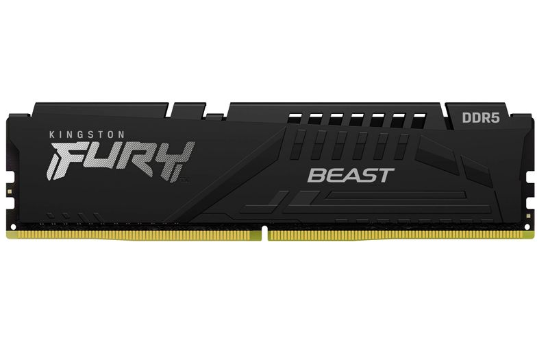 60217 - Memorias RAM Kingston Technology FURY BEAST