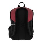 MOCHILA JUVENIL HOGWARTS GRYFFINDOR