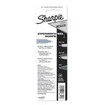 75001 - MARCADOR PERMANENTE FINO PLATA SHARPIE BLT