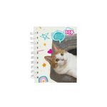 57506 - LIBRETA ESPIRAL POCKET 160H RAYAS GATITO DOO SMARTY