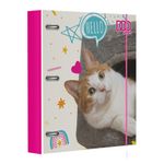 56364 - CARPETA CARTA 100H GATITO DOO SMARTY