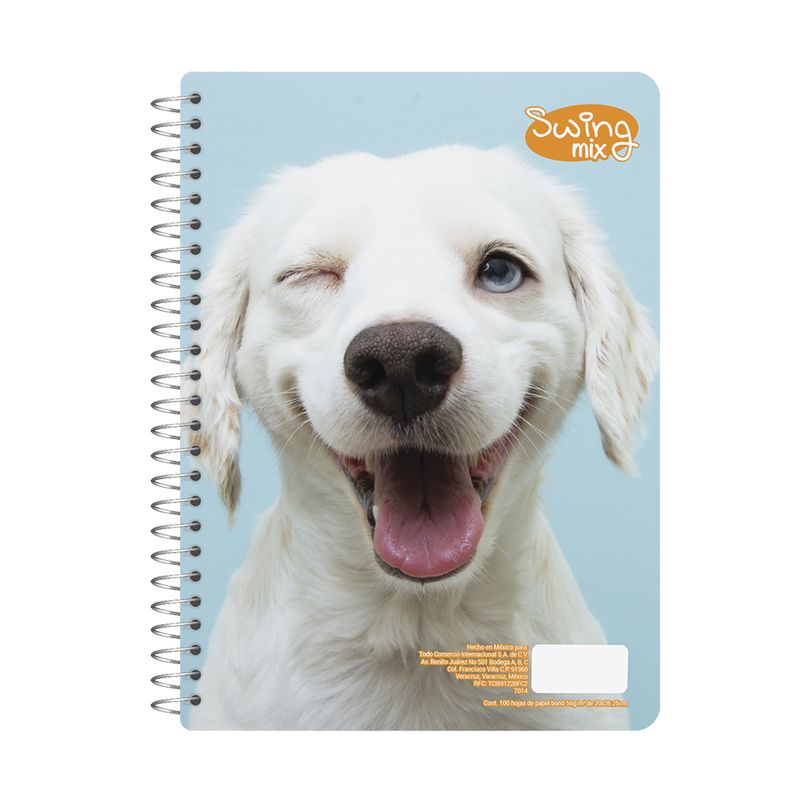 76919 - CUADERNO PROFESIONAL 100H RAYAS SWING MIX (F)