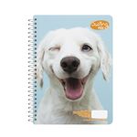 76951 - CUADERNO PROFESIONAL 100H C-7 SWING MIX (F)